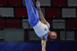 九游娱乐官网app-关于体操比赛选手飞檐走壁，震撼全场的信息