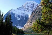 阿贾克斯青训传承,欧冠青年军崭露头角