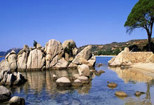 玛格登受挫，需迎头赶上