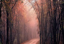 九游娱乐课程-曼联3-1逆转埃弗顿，拉什福德传射梅开二度，曼联10号拉什福德