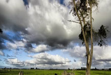 九游娱乐入口-曼城逼平亚特兰大，晋级欧冠16强获遥遥领先，欧冠冠军 曼城